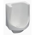 Shop for Zurn Waterless Urinals
