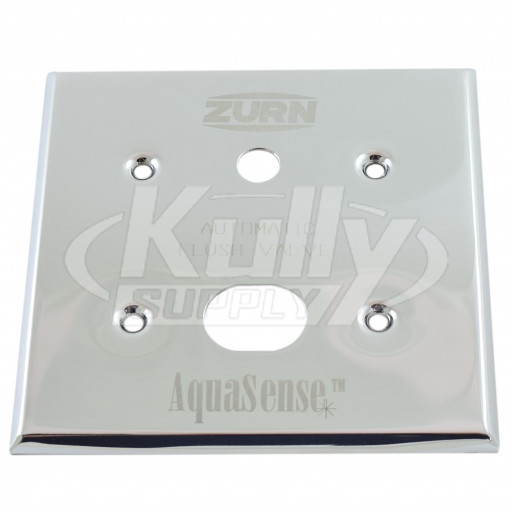 Zurn PESS6000-22 Closet Sensor Cover Plate (with Override Hole 4x4)