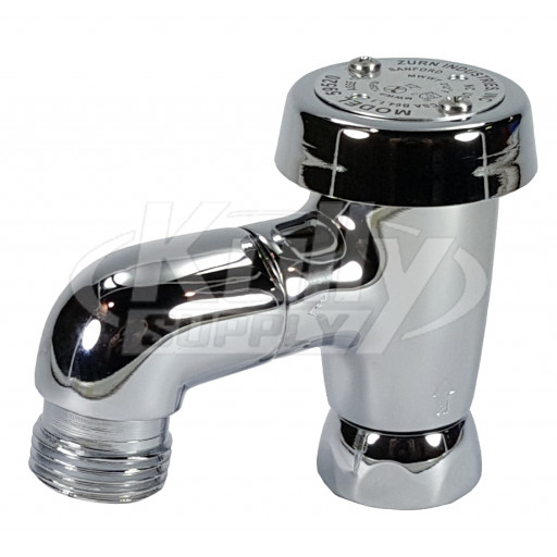 Zurn G60526 2-1/2" Vacuum Breaker Spout 