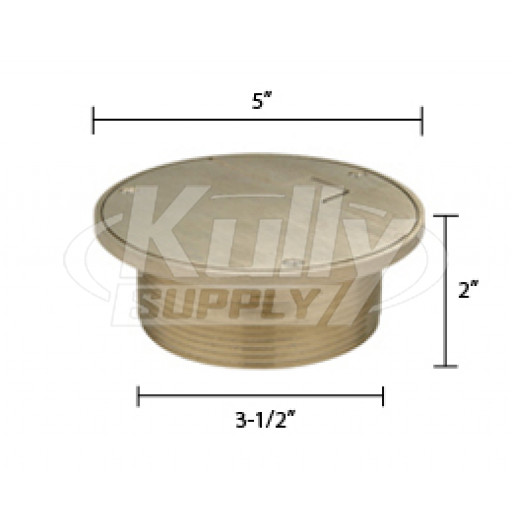 Zurn ZN400-5D Z400 "TYPE D" Round Strainer - Polished Nickel Bronze Top