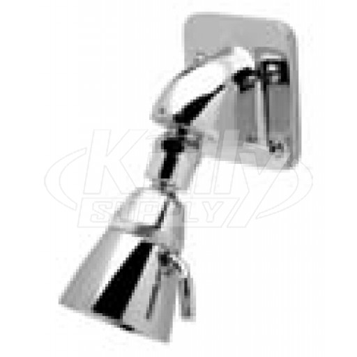 Zurn Z7000-i5 Institutional Wall Mount Shower Head 