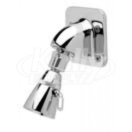 Zurn Z7000-i6 Institutional Wall Mount Shower Head 