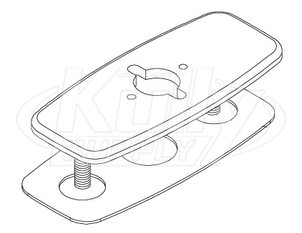 Zurn P6920-CP4-1 Cover Plate 4" (with Hole for Z6920 Faucets)