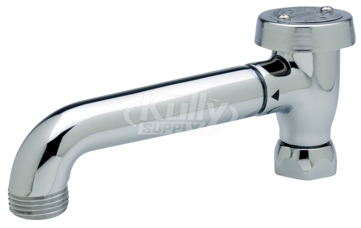 Zurn G60556 6" Vacuum Breaker Spout