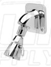 Zurn Z7000-i6 Institutional Wall Mount Shower Head 