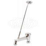 Zurn G60555 5" Vacuum Breaker Spout - Rough Chrome 