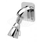 Zurn Z7000-i6 Institutional Wall Mount Shower Head 