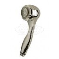 Zurn Z7000-H9 1.5 GPM Hand-held Shower Head 