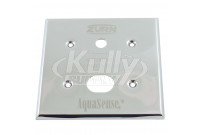 Zurn PESS6000-22 Closet Sensor Cover Plate (with Override Hole 4x4)