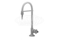 Zurn Z82900 Polypropylene Single Lab Faucet for Distilled Water