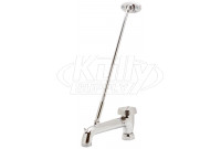 Zurn G60554 5" Vacuum Breaker Spout 