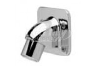 Zurn Z7000-i2 Institutional Wall Mount Shower Head 