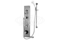 Zurn Z7533-DV2P-HW AquaPanel Shower 