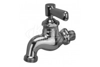 Zurn Z80501 Wall-Mounted Single Sink Faucet