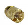 Zurn 7000-11D Retainer Screw 